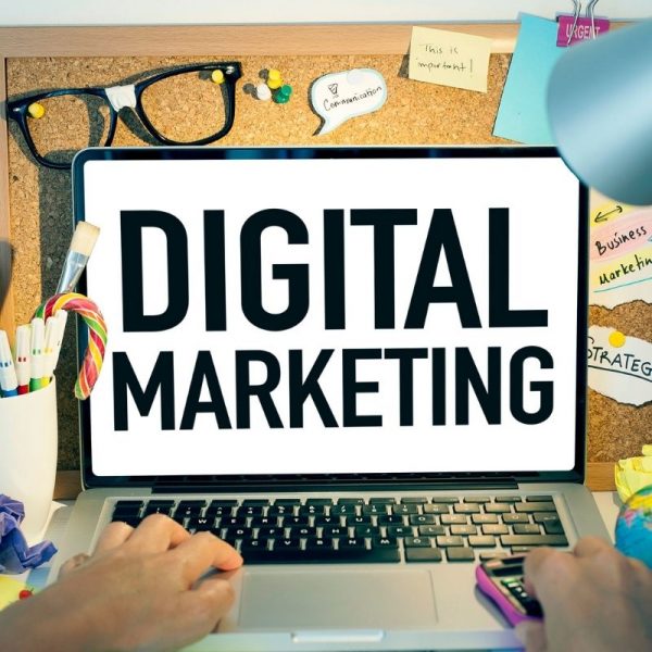 Digital Marketing plr courses
